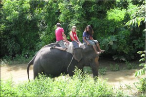 Three people on an elephant in a muddy river.