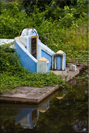 Blue Chinese headstone, surrounded by green weeds and water