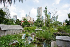 Water, weeds and ruined graved ~ Bangkok high-rises in the background.