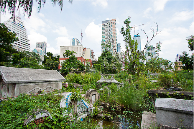 Water, weeds and ruined graved ~ Bangkok high-rises in the background. 