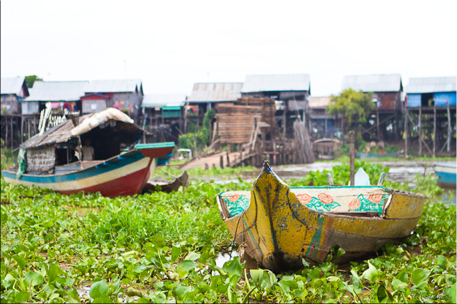 Colourful wooden boats, with bamboo and rattan housing behind