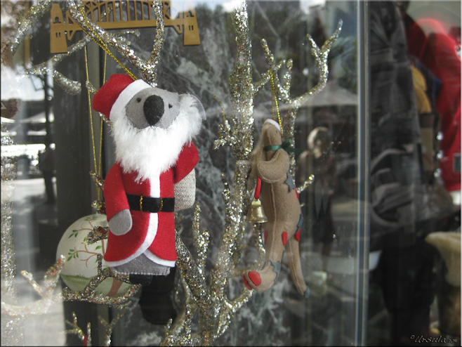 Small felt koala in a santa suit on a tinsel tree + reflections in a shop window