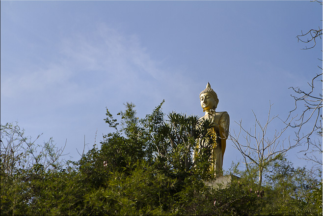 Golden standing buddha image behind jungle growth against a blue sky.