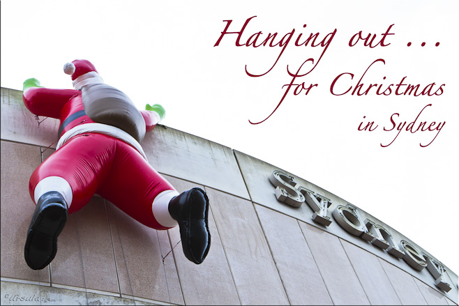 Large blow-up santa, hanging from the side of a building: Sydney Convention Centre, Darling Harbour