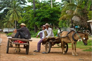 Three khmer men sitting on a dirt roadside on two pony carts