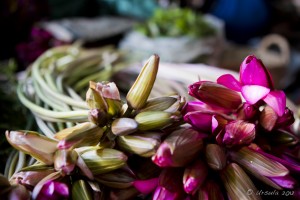 Bundled long-stemmed water lilies for sale in a market.