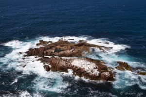 Pied cormorants on a red granite island washed with white water.