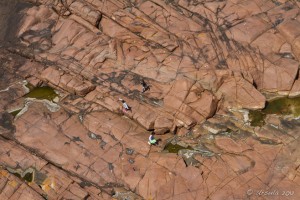 Three children, looking very small, running across an expanse of red granite.