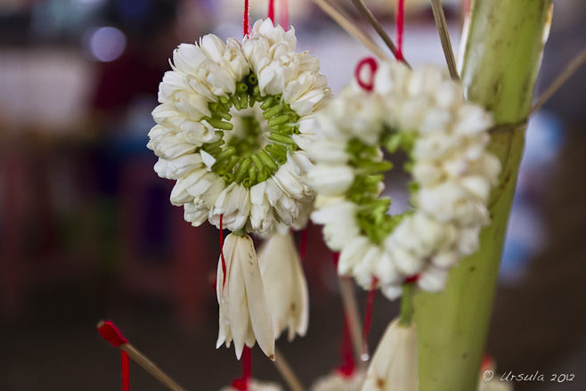 Two small garlands of jasmine and Magnolia champaca