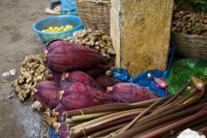 Banana flowers, ginger and lotus stems around a concrete pillar
