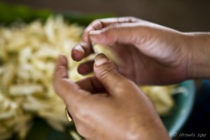 Close-up: Woman's hands as they thread magnolia champak
