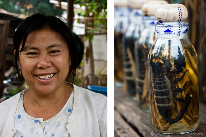 Composite: Portrait of a middle-aged Lao woman and Scorpions in rice-wine, in bottles.