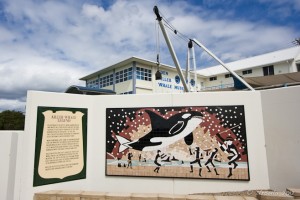 Mosaic depiction of an Aboriginal corroboree and a killer whale.
