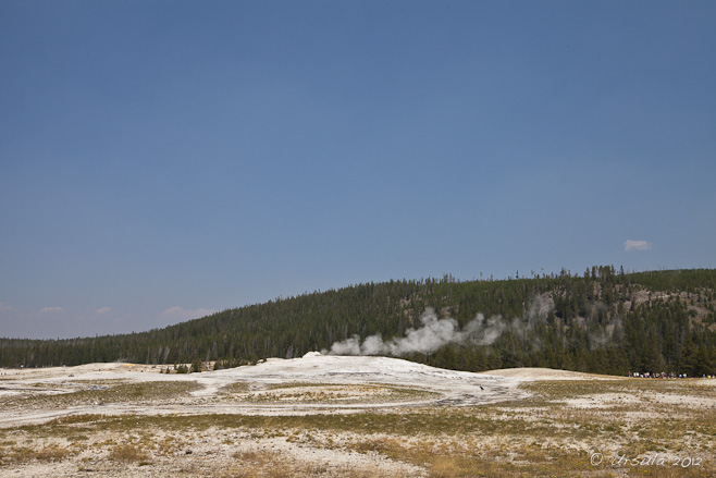 Limestone encrusted yellowed grass, steam risiing.