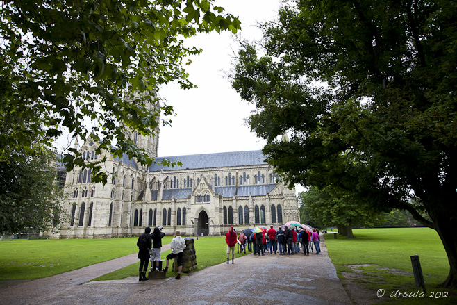 Salisbury Cathedral from behind trees: tourists huddled under umbrellas in the rain.