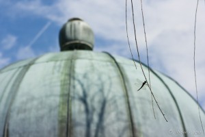 Small Dragonfly against the green dome of a tomb and a blue sky.