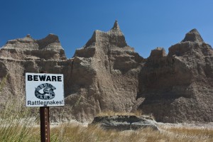 Rattlesnake warning sign in front of badland landforms.