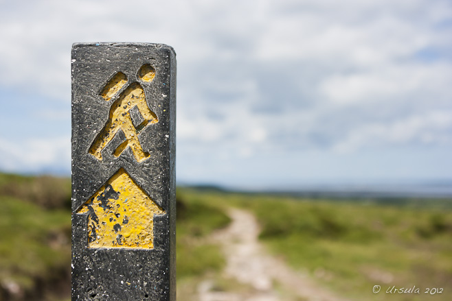 Walking signpost against a path through the moors of Ireland.