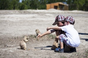 Two boys in matching caps feeding ground squirrels.