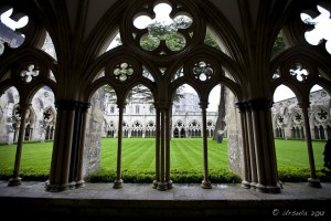 Inside the Cloisters os Salisbury Cathedral looking out onto green lawns.