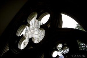 Flower-shaped keyholes onto Salisbury Cathedral.