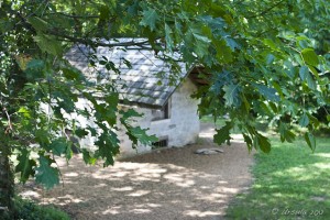 Behind leafy oaks, a small cottage.