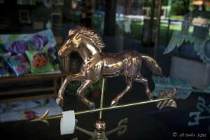 Bronze horse weather vane in a shop window.