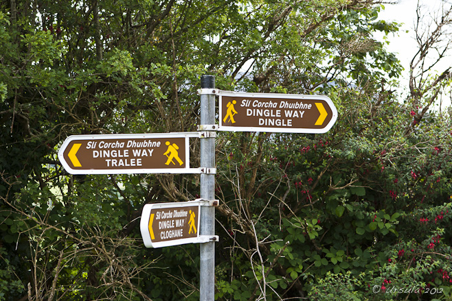 Dingle Way walking sign posts: to Tralee, Dingle, Cloghane