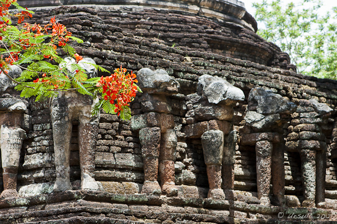 Carved elephants at the base of a laterite temple.