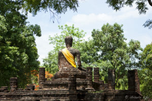Back of a Buddha in a gold sash on a laterite pedestal.