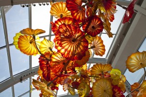 Yellow-red glass flowers.