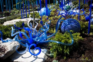 Blue glass forms in an outdoor garden.