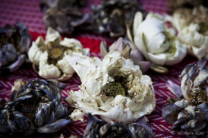 Dried Lotus flowers on a woven red mat.