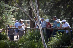 View: Taronga Western Plains zookeeper talking to a group.
