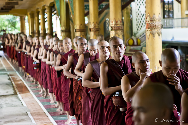 Burmese Theravada monks in a line-up: Kyakhatwine Monastery, Bago, Myanmar