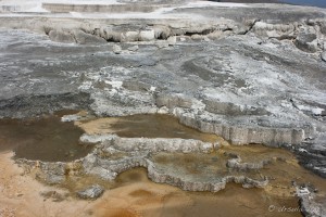 Lacy white limestone travertine against yellow spring waters, Minerva Terrace