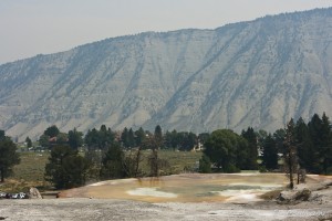 Hot spring on a plateau, surrounded by trees and mountains. Mammoth Hot Spring