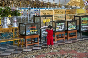 Young child with glass cases filed with paper fortunes, Shwethalyaung Buddha, Bago, Myanmar.