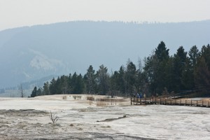 Reflective waters in a brown hot spring edged by evergreens and mountains. Main Terrace, Mammoth