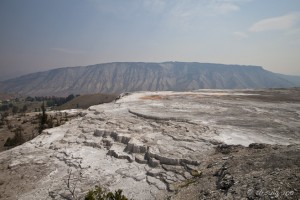 Limestone terraces; blue mountains in the background. Main Terrace, Mammoth Springs