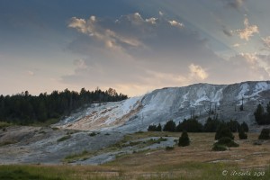 Steam on the Upper Terraces, Mammoth Hot Springs