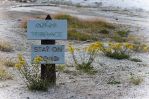 Sign-post: 