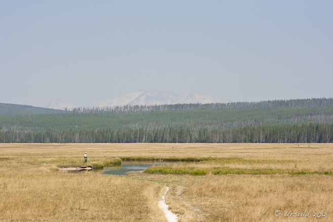 Fly fisherman in waders on a small lake surrounded by golden grass and backed by a conifer forest and mountains.