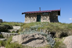 Stone mountain hut against a blue sky, fronted by Silver Snow Daisy, Seaman's Hut, Etheridge Range, Kosciuszko NP