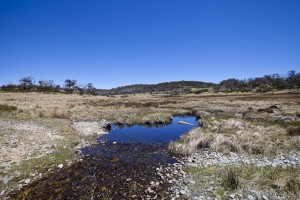 Sawpit Creek