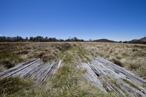 Rough wooden boards over yellowed grasses, Rennix Walk, Kosciuszko NP.