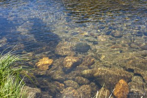 Clear waters rippling over the smooth rocks of a river bed. Bullock's Flat, Kosciuszko NP.