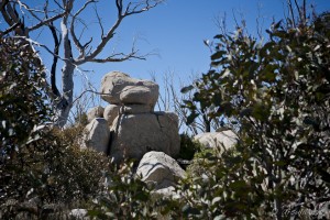 Rocky outcrop against a blue sky, amid gum trees.