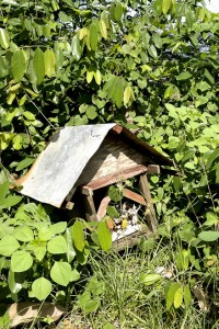 Weathered Thai spirit house amongst weeds and grass.
