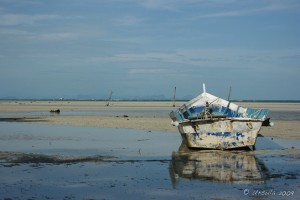 Roughly painted blue and white row boat on a flat wet beach.